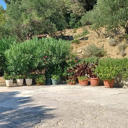 アパート In With Wifi Palit