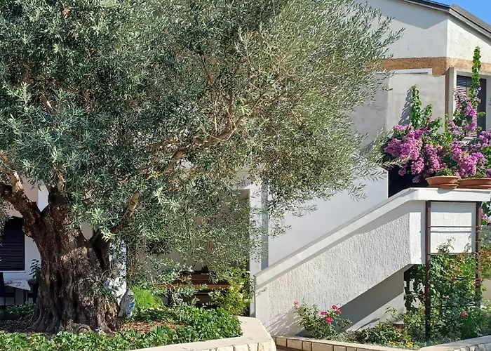 In With Wifi Apartamento *