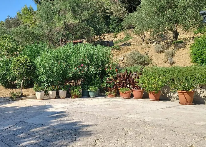 Apartman In With Wifi Palit